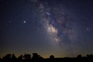 星云 星星 树 夜间 4k壁纸 3840x2160