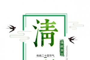 清明传统节日雨燕