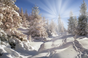 冬季雪风景4K壁纸