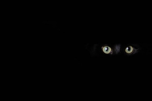猫 眼睛 一瞥 黑色 深色 4k壁纸 3840x2160