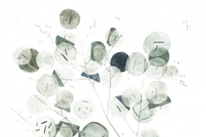 手绘插画