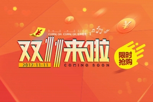 双11限时抢购促销海报