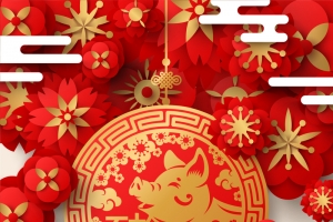 2019猪年喜庆过大年平面素材
