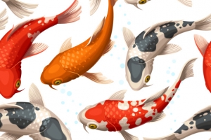 装饰鲤鱼插画素材矢量