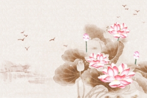 中国风莲花背景