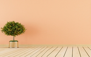 照片墙家居banner
