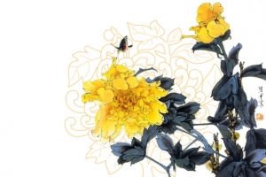 中国风菊花素材