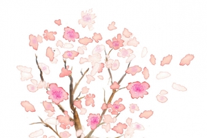 手绘粉色桃花花瓣桃花树