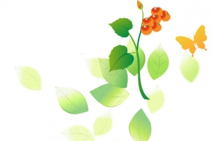 树叶漂浮