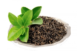 茶盘高清PNG透明装饰元素与植物设计素材免费下载