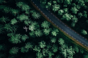 森林公路背景图