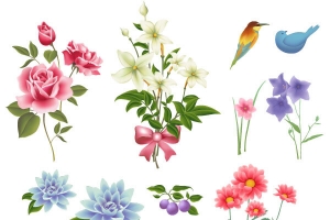 各式花朵矢量图形