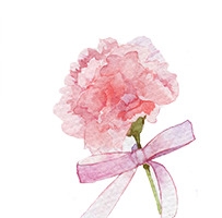 粉色水彩丝带花朵母亲节