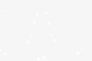 天空飘落的白雪