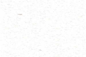 卡通底纹碎屑