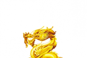 金龙