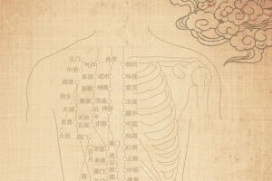 中国风中医海报背景