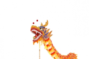 多人的舞龙舞狮图