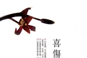 喜伤心