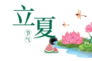 立夏蜻蜓荷花青蛙西瓜