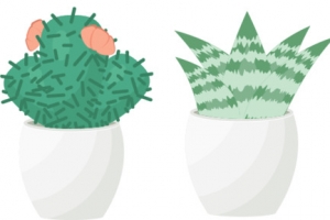 AI多肉植物盆栽
