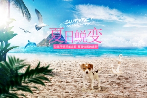 夏季海边背景