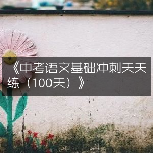 中考语文百日基础冲刺天天练