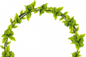 绿色卡通植物花圈效果设计