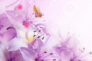 紫色唯美百合花背景banner