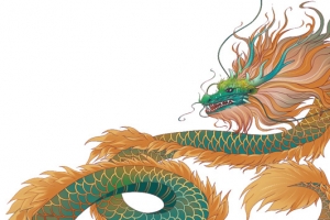 中国 龙 国风  神兽