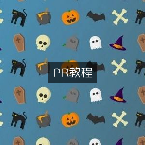 PR视频制作教程