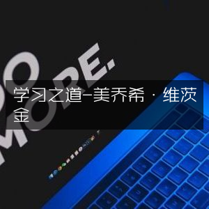 掌握学习艺术，乔希·维茨金《学习之道》精读，助力个人能力飞跃