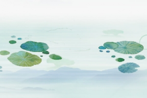 荷塘插画