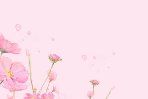 植物花卉背景图