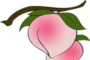 带叶子漫画桃子