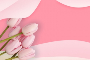感恩节郁金香banner