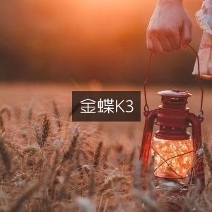 金蝶K3系统优化标题