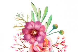 手绘水彩花朵花草装饰图案
