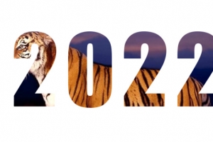 2022年虎年大吉