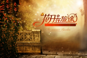 女包奢华建筑背景banner