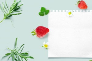 初夏简约绿色树叶banner