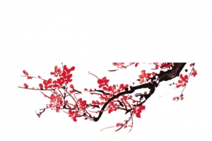 一枝梅花