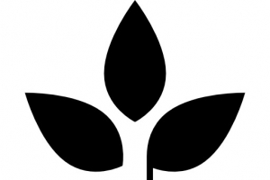 植物叶子在锅图标