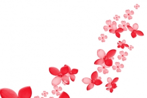 漂浮的花