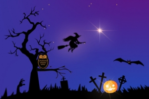 万圣节狂欢夜蝙蝠诡异蓝色banner