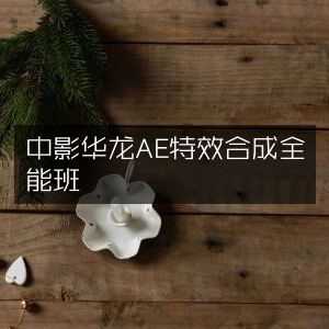 中影华龙AE特效合成精英全能班