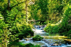 森林流水翠绿美景