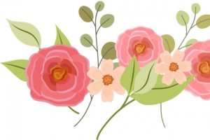 粉色手绘漂亮玫瑰花