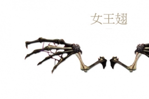 女王翅黑色古翼游戏
