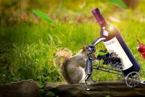 醇香葡萄酒景色绿色banner